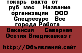 токарь. вахта. от 50 000 руб./мес. › Название организации ­ ООО Спецресурс - Все города Работа » Вакансии   . Северная Осетия,Владикавказ г.